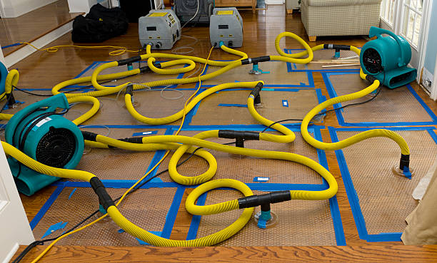 Professional Emergency Water Removal technician working in Abrams, WI